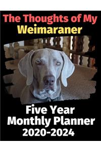 The Thoughts of My Weimaraner