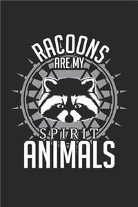 Racoons are my spirit animals