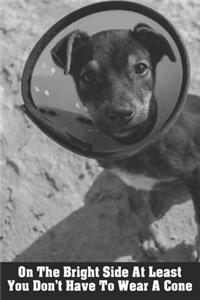 On The Bright Side At Least You Don't Have To Wear A Cone