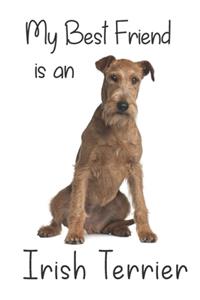 My best Friend is an Irish terrier