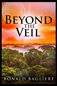 Beyond The Veil