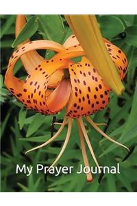 My Prayer Journal: Romans 12:12 Be joyful in hope, patient in affliction, faithful in prayer.