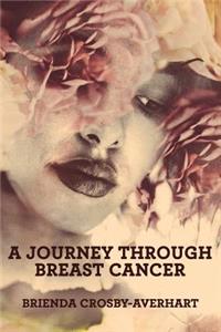 Journey through Breast Cancer