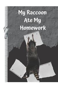 My Raccoon Ate My Homework
