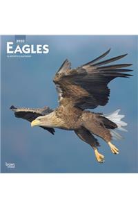 Eagles2020 Square Wall Calendar