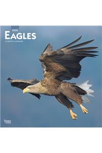 Eagles 2020 Square