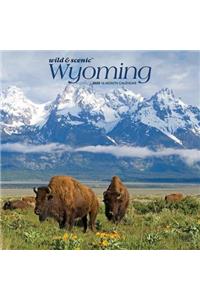 Wyoming Wild & Scenic 2020 Square