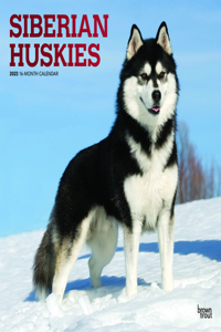 Siberian Huskies 2023 Square Foil