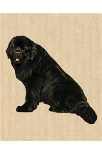 Newfoundland