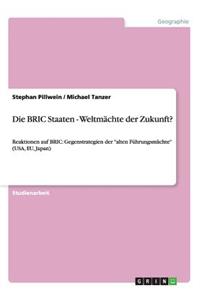 Die BRIC Staaten - Weltmächte der Zukunft?