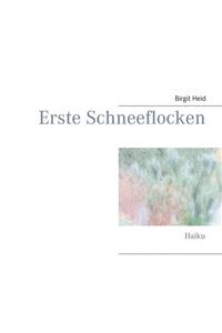 Erste Schneeflocken