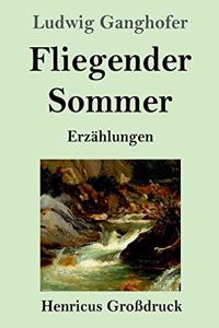 Fliegender Sommer (Großdruck)
