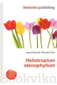 Heliotropium Stenophyllum