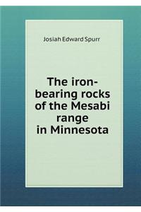 The Iron-Bearing Rocks of the Mesabi Range in Minnesota