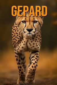 Gepard