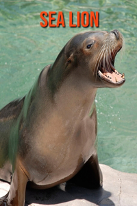 Sea Lion