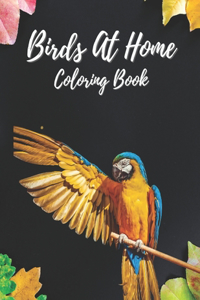 Birds at Home Coloring Book