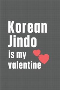 Korean Jindo is my valentine