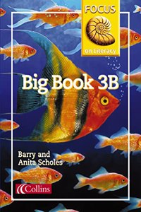 Big Book 3B