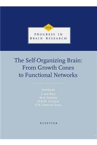 The Self-Organizing Brain
