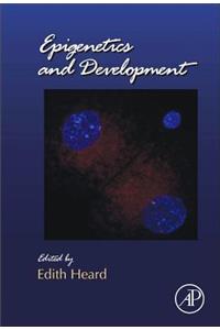 Epigenetics and Development