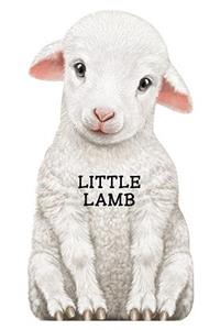 Little Lamb