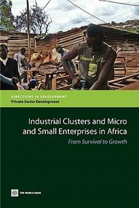 Industrial Clusters and Micro and Small Enterprises in Africa