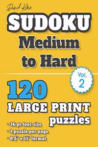 David Karn Sudoku - Medium to Hard Vol 2