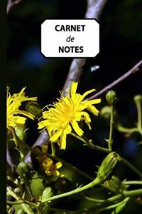Carnet de Notes