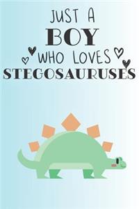 Just A Boy Who Loves Stegosauruses