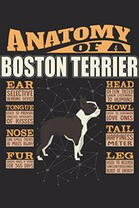 Anatomy Of A Boston Terrier