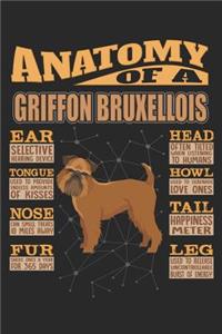 Anatomy Of A Griffon Bruxellois