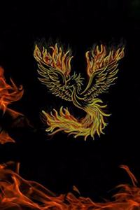 Phoenix Journal