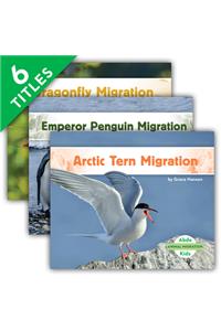 Animal Migration Set 2 (Set)