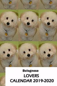 Bolognese Lovers Calendar 2019-2020