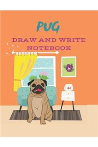 Pug