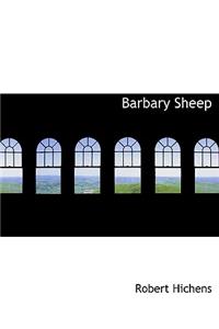 Barbary Sheep