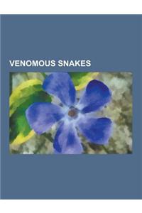 Venomous Snakes: Anchieta's Cobra, Andaman Cobra, Aspidelaps Lubricus, Aspidelaps Scutatus, Black Mamba, Boomslang, Burmese Spitting Co