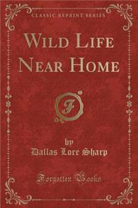 Wild Life Near Home (Classic Reprint)