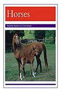 Animals - Horses