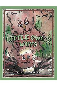 Little Owl's Whys