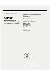 Electronic Authentication Guideline