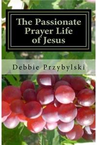 Passionate Prayer Life of Jesus: Discover How to Pray Like Jesus