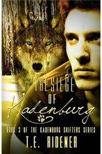 The Siege of Kadenburg