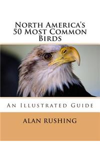 North America's 50 Most Common Birds