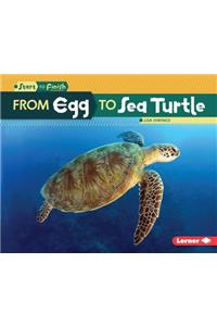 From Egg to Sea Turtle