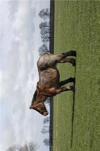 The Belgian Draft Horse Journal