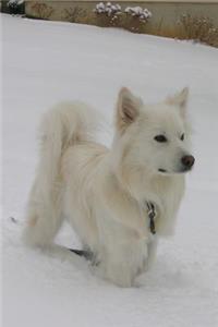 The American Eskimo Dog Journal