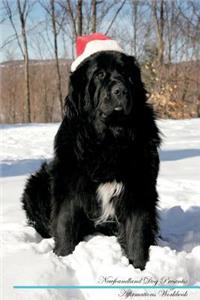 Newfoundland Dog Affirmations Workbook Newfoundland Dog Presents: Positive and Loving Affirmations Workbook. Includes: Mentoring Questions, Guidance, Supporting You.