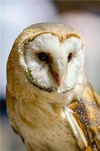 Barn Owl Journal